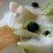 Emulsion d'huîtres au celeri, gelée d'herbes et câpres